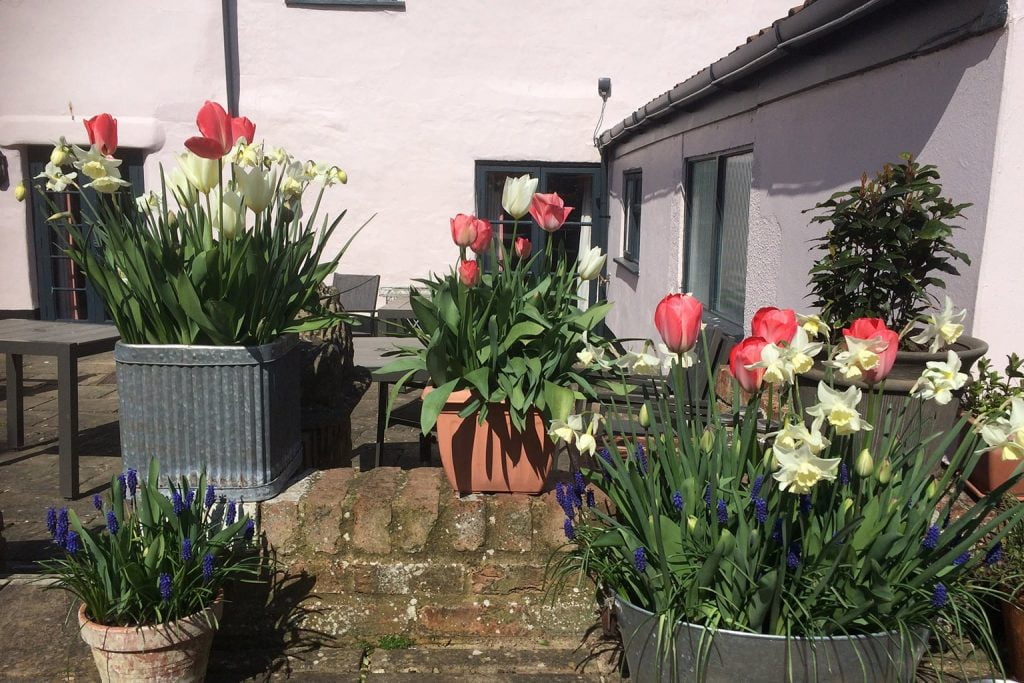 The Old Vicarage Hotel Garden 5