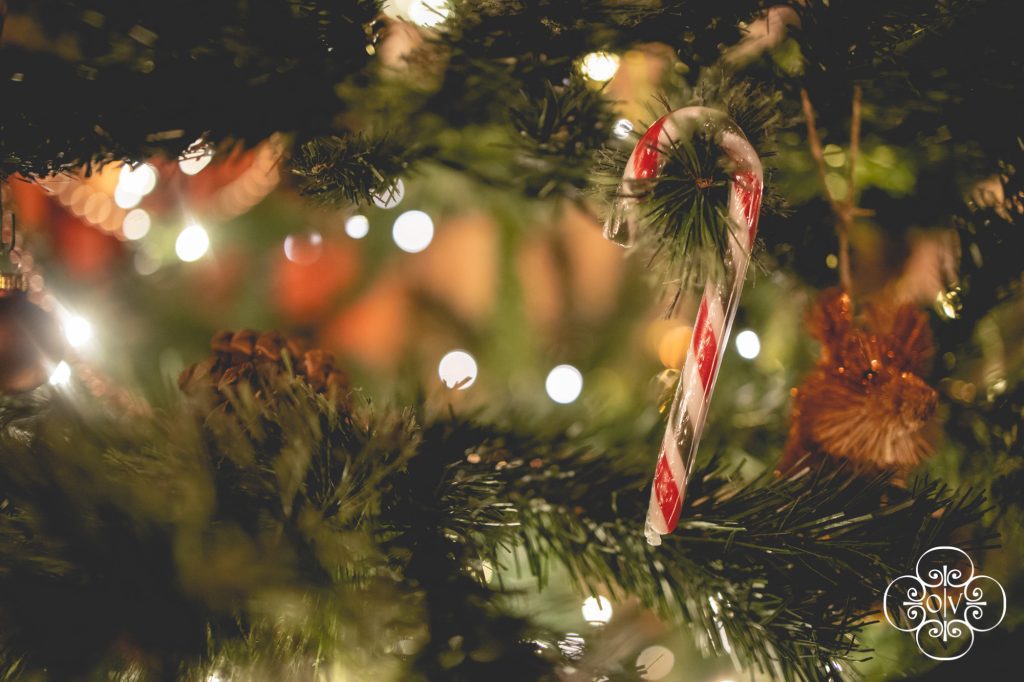 Candy Cane hanging on Christmas tree at the old vicarage hotel and restaurant in bridgwater somerset. photography by IMPACT 20twenty